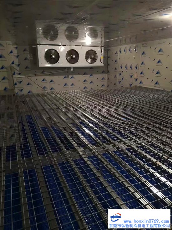 东莞25匹低温双机组 218立方冷库体工程完工交付